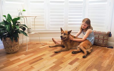 Guide: Choose The Best Timber Flooring for Your Home