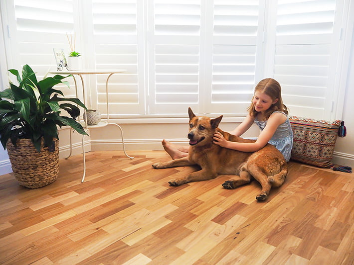 Guide: Choose The Best Timber Flooring for Your Home